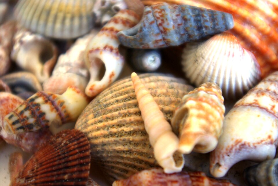 Holiday sea memory