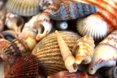 Holiday sea memory
