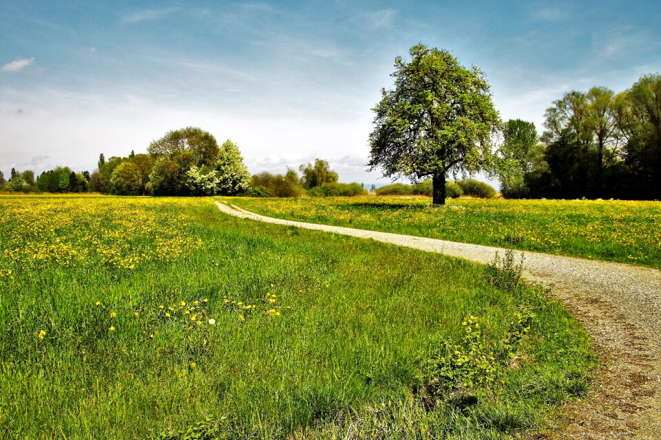 Spacer landscape the idyll