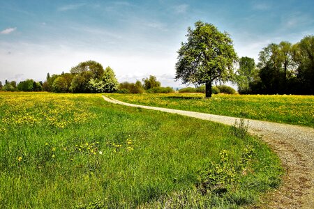Spacer landscape the idyll