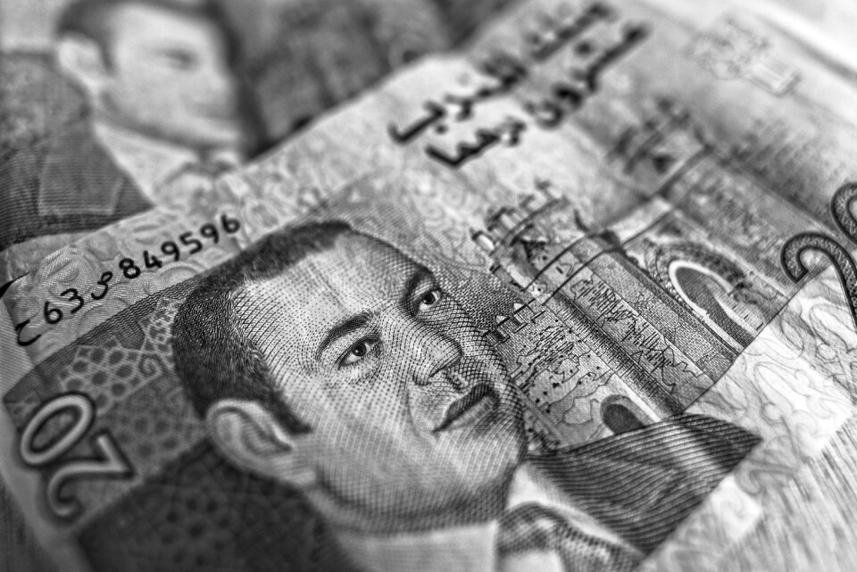 Money cash 20 dirham
