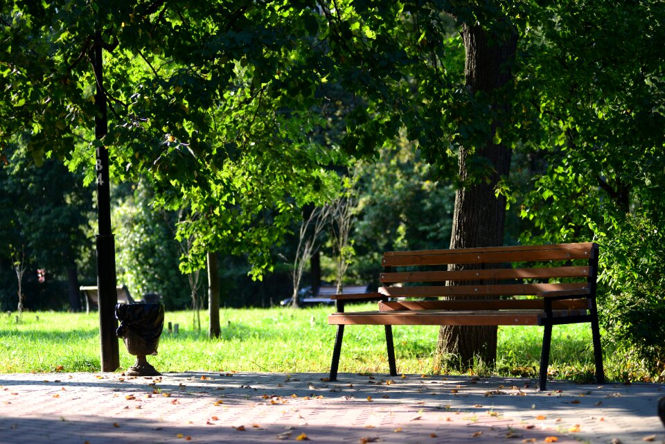 Park bench nature