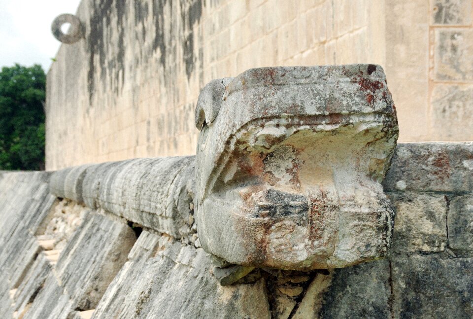 Snake decoration architecture
