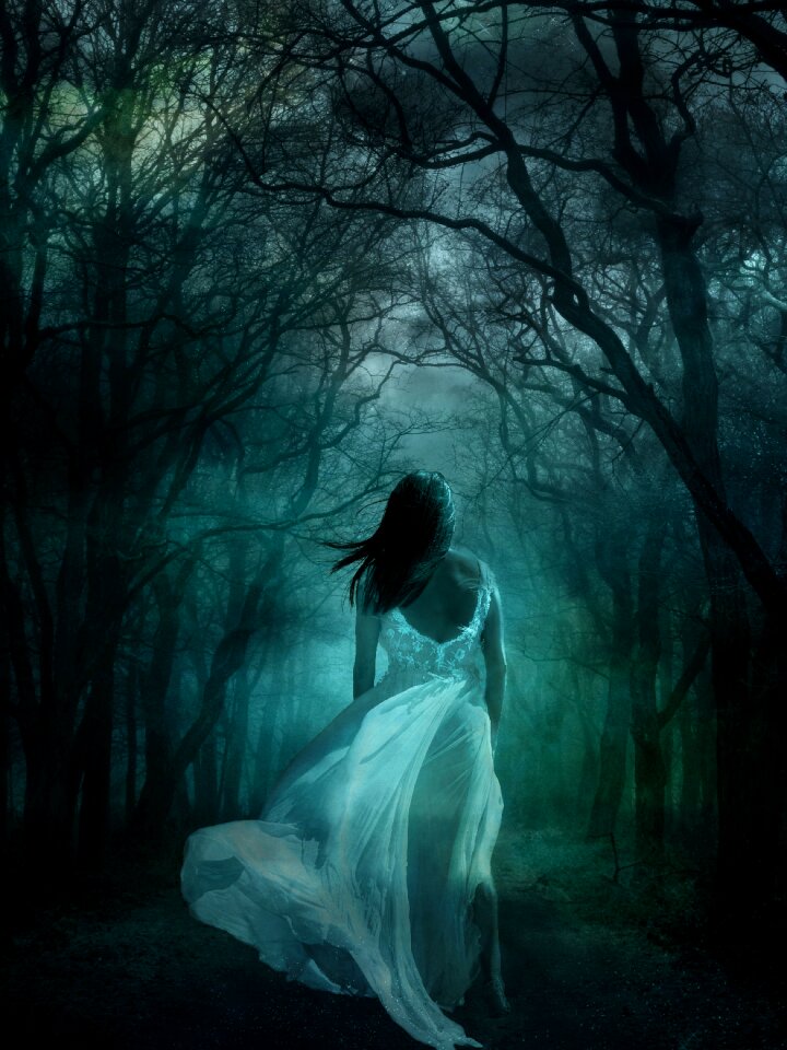 White dress wood forest
