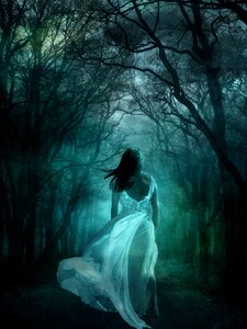 White dress wood forest photo