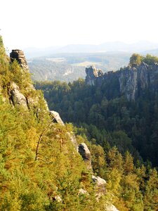 Elbe sandstone mountains rock green
