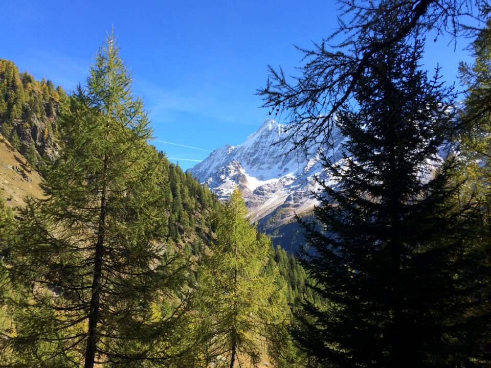 Autumn trail lauchernalp