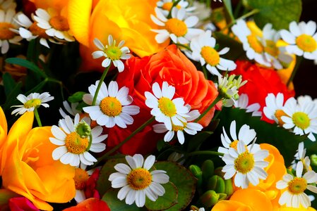 Floral petal bouquet