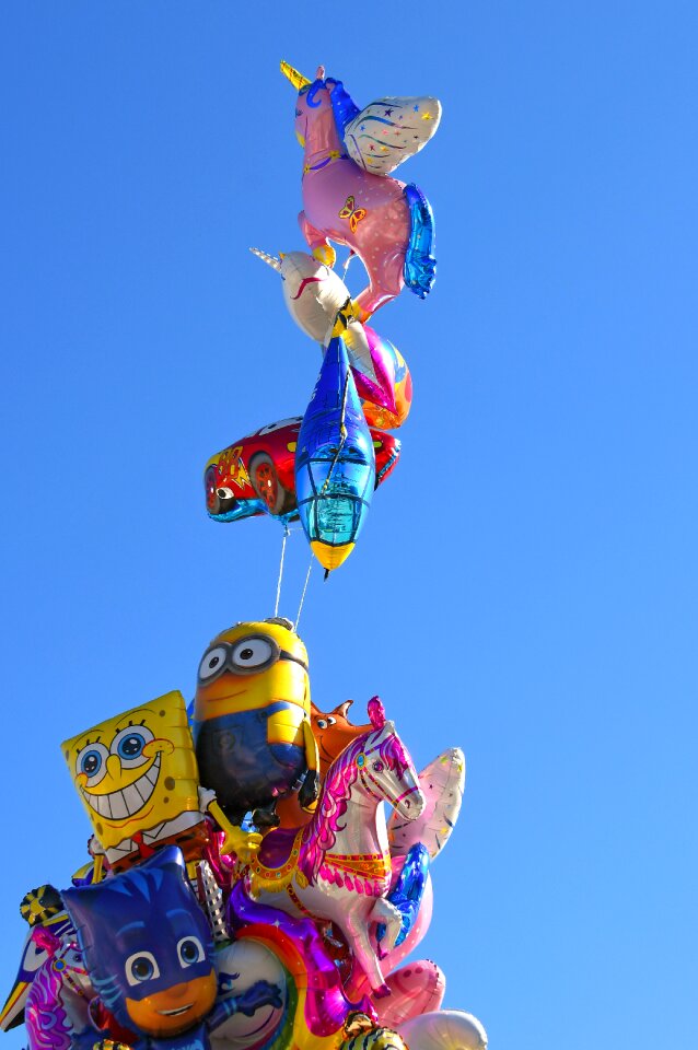 Fly air flight