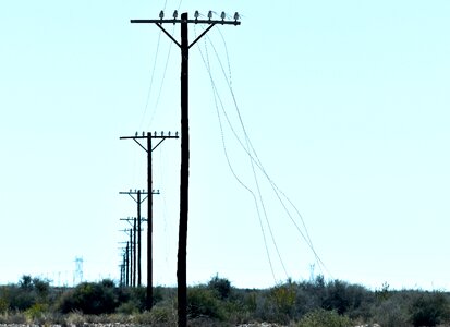 Wires karoo south africa photo