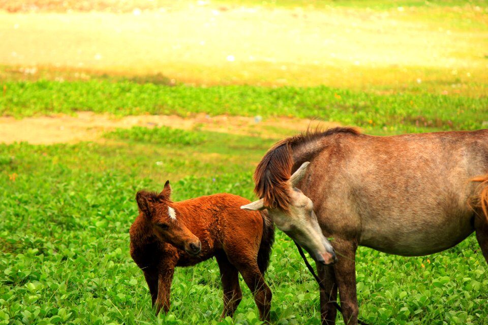 Baby family other and child