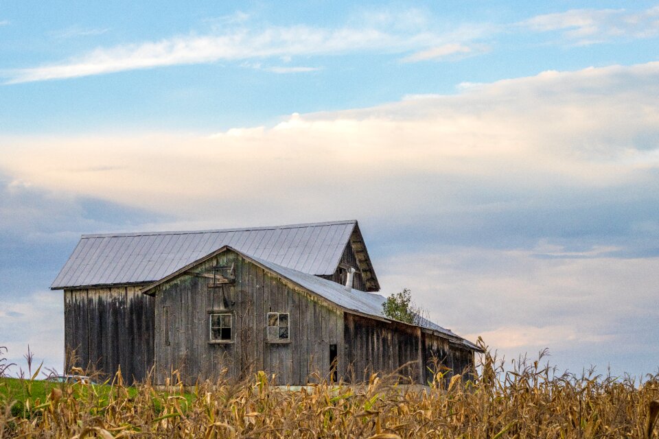 Farming field countryside