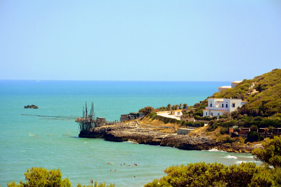Houses beach forest