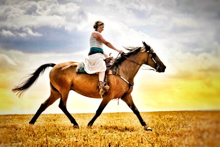 Animal western woman photo