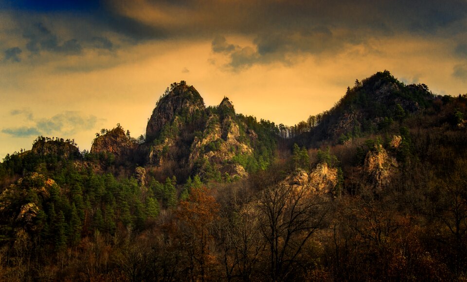 Forest evening clouds