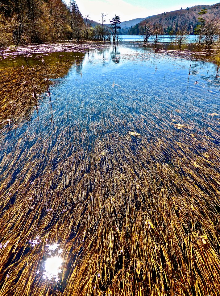 Peaceful calm flow