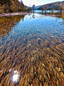 Peaceful calm flow
