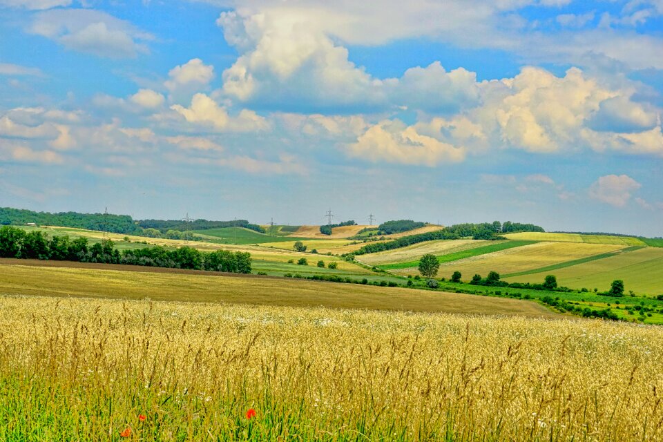 Sky clouds agriculture photo