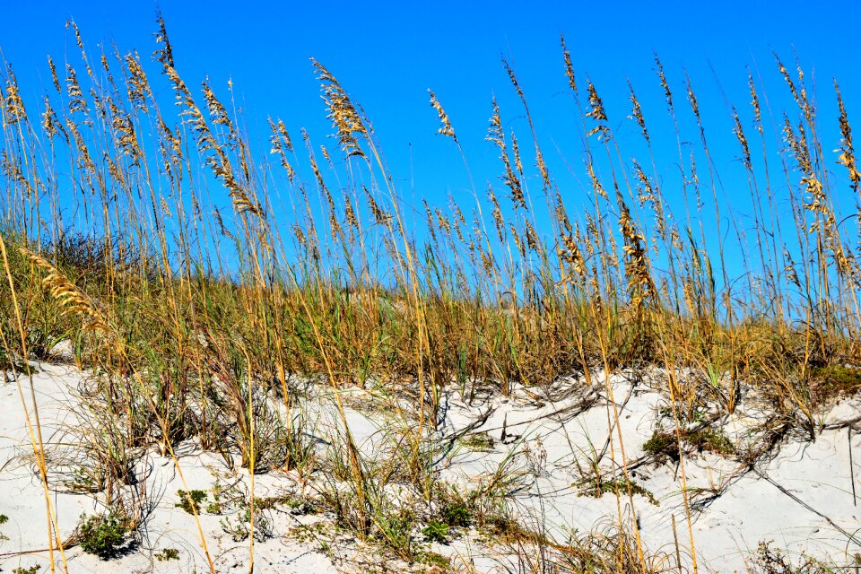 Beach nature sky photo