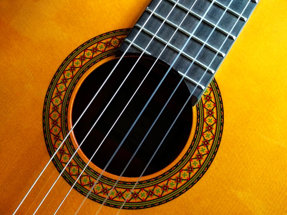 Acoustic music musician