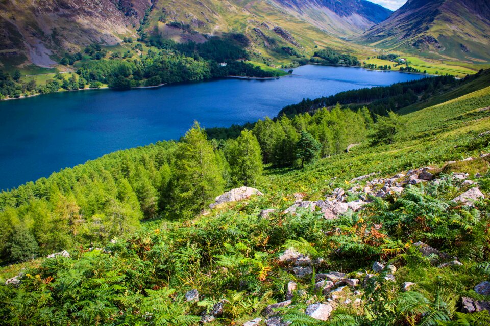 Landscape climbing mountains