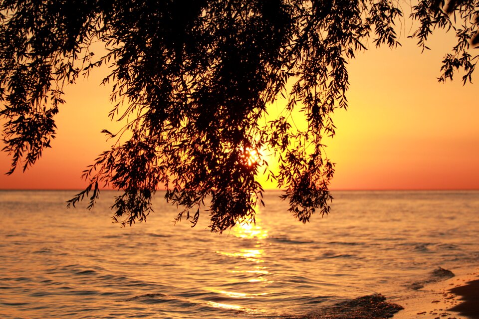 Beauty romance sunset