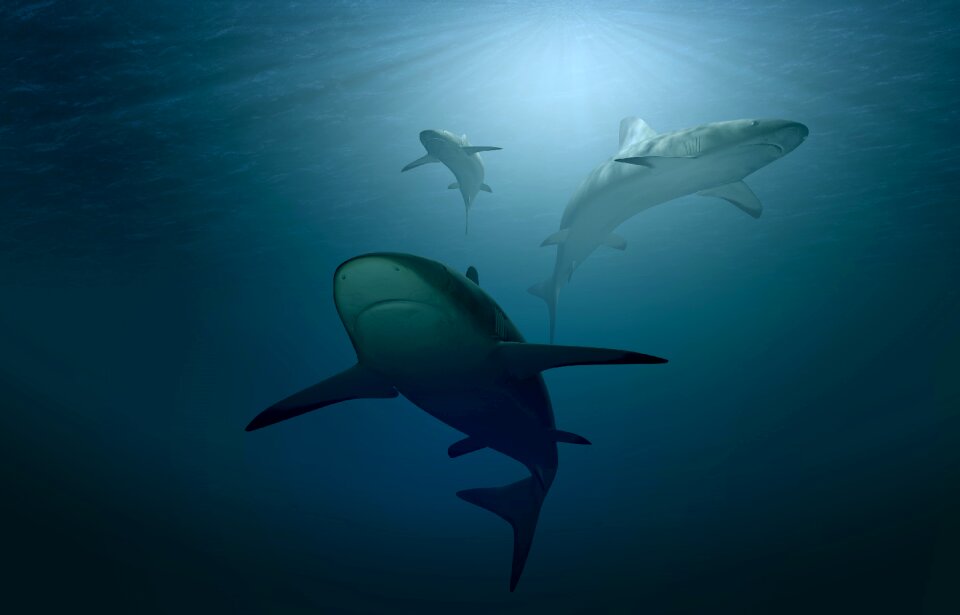 Ocean water underwater