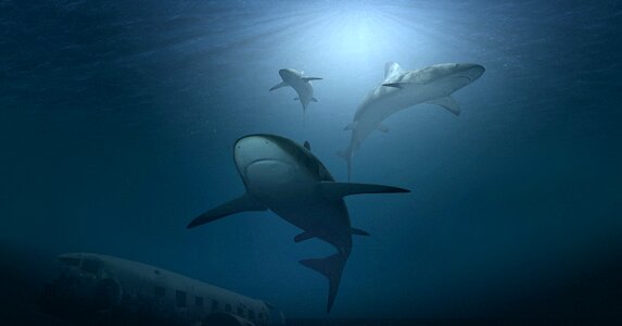 Ocean water underwater