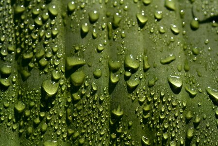 Background drip drop of water