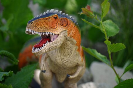Prehistoric times carnivore great