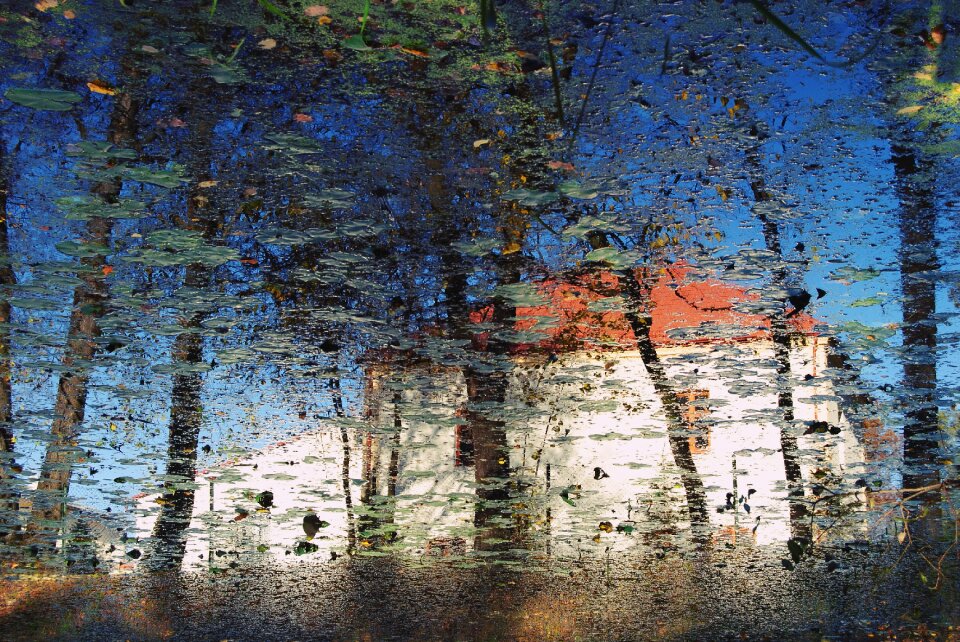 Nature tree river