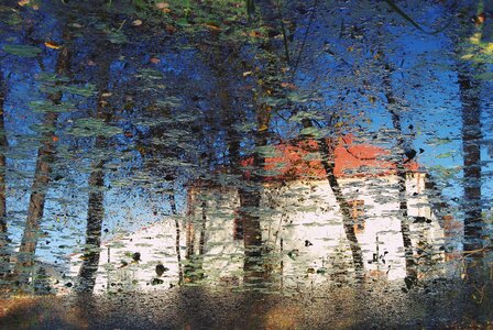 Nature tree river