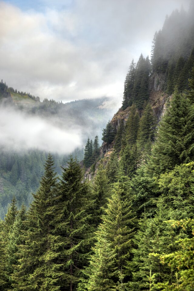 Fog mt rainier hiking