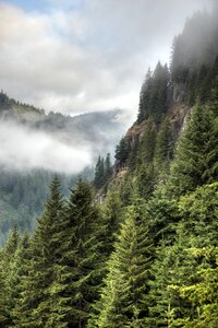 Fog mt rainier hiking