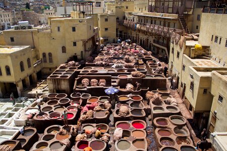 Fez color skins photo