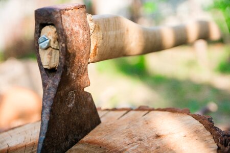 Cases tree chopping woodworking photo