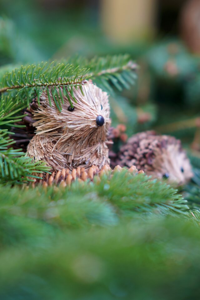Christmas needle wood