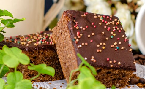 Chocolate cake brownie brownies photo