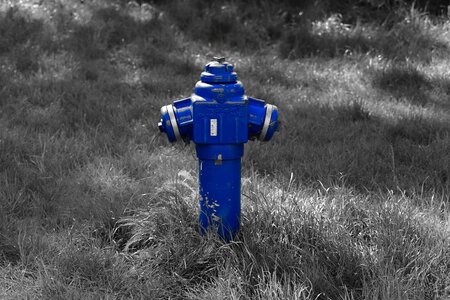 Hydrant blue grass