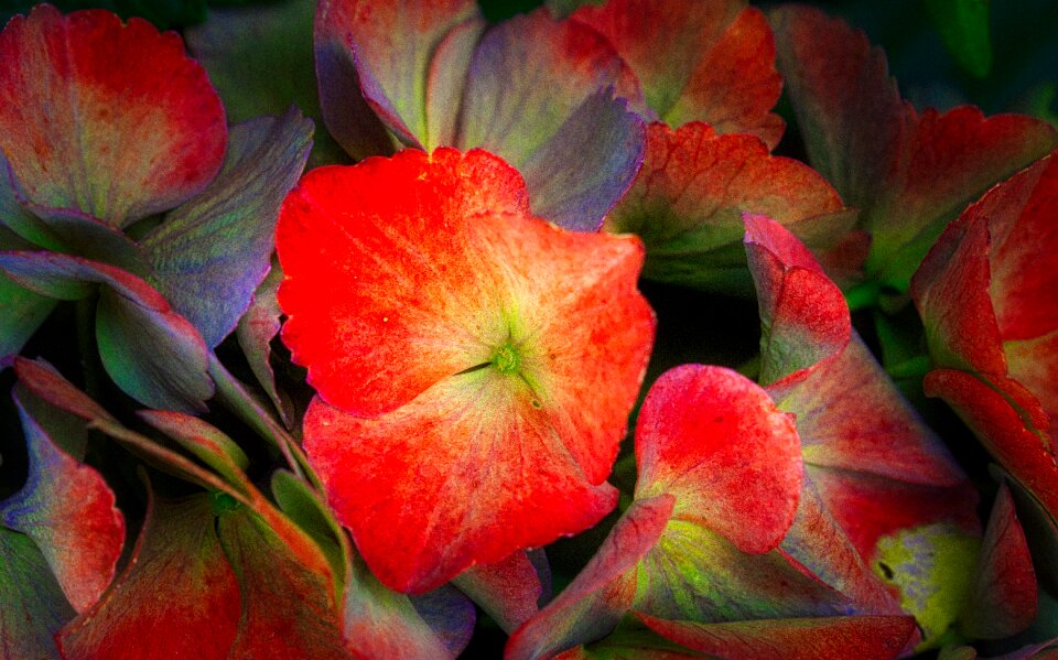 Bright background close up