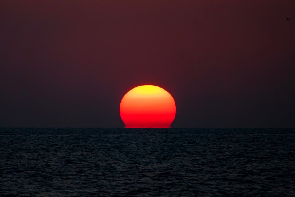 Red atmospheric romantic