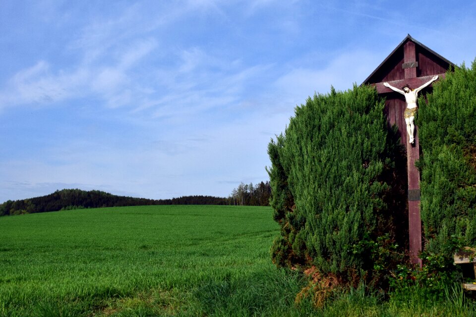 Field field cross grass