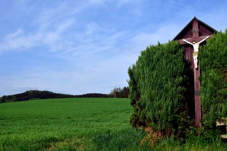 Field field cross grass photo