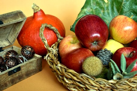 Basket autumn fall