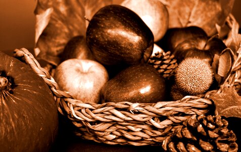 Basket fruit apples