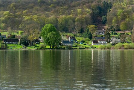Tree reflection landscape