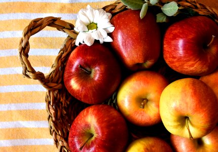 Fruit bowl basket autumn