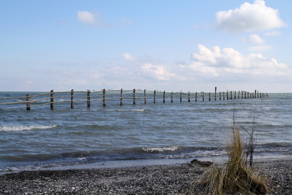 Coast nature landscape