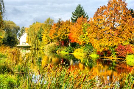 Colourful leaves autumn dream