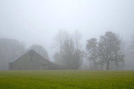 Field agriculture building photo